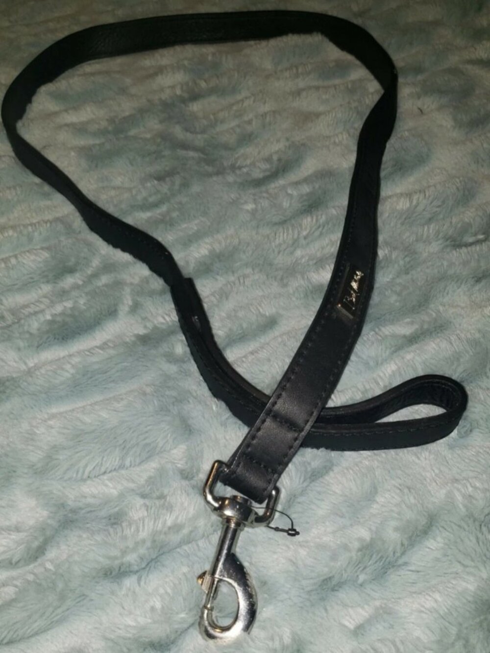 Brett Michaels dog leash